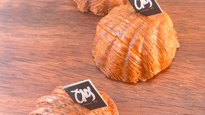 IMG_ANKO SHELLS