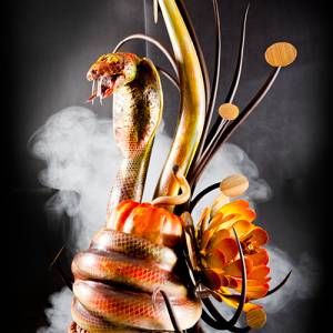 TTL_Martin Chiffers_5