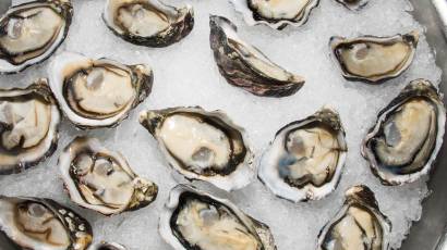 Oysters