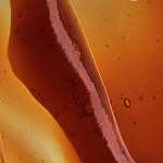 SOSA TEXTURES & FLAVOURS WORKSHOP BY SILMA AYRES