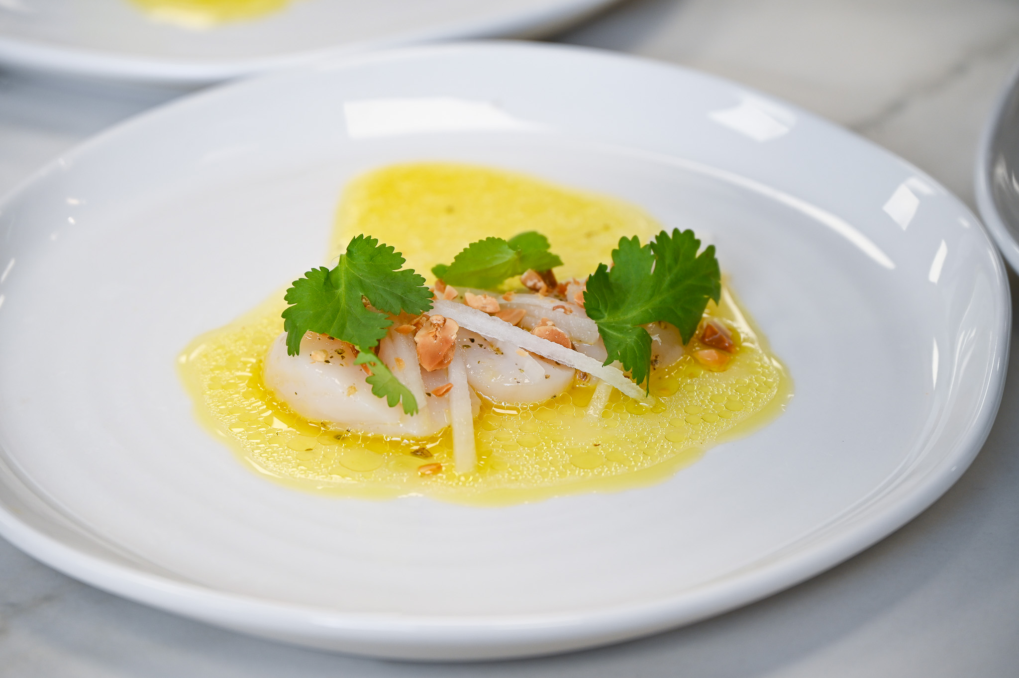 TTL_Seafood Russell Bateman_Nov 2025_72