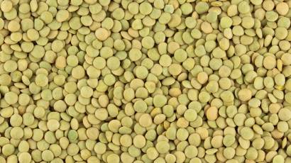 Green lentils