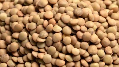 Lentils
