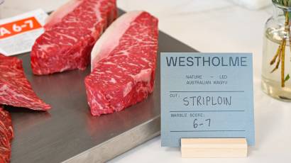 Westholme Visit May 2025_31