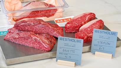 Westholme Visit May 2025_36